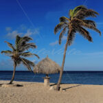 Arashi Beach – Aruba - DileVale