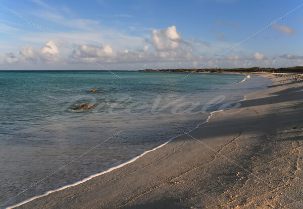 Arashi Beach – Aruba - DileVale