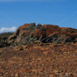 Arikok National Park – Aruba - DileVale