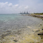 Baby Beach – Aruba - DileVale