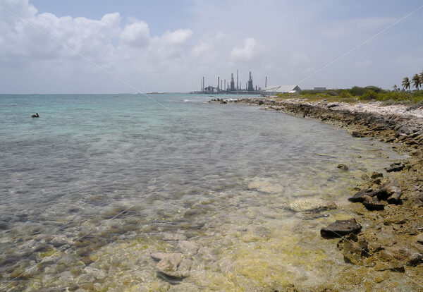 Baby Beach – Aruba - DileVale