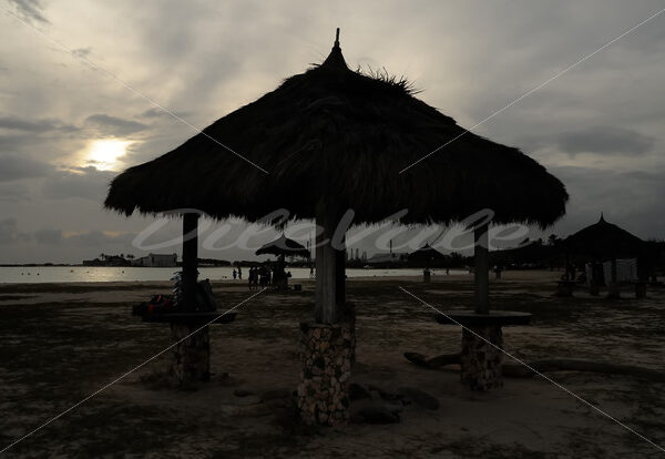 Baby Beach – Aruba - DileVale