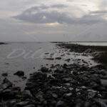 Baby Beach – Aruba - DileVale