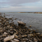 Baby Beach – Aruba - DileVale