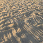 Beach Sand – Riviera Maya – Mexico - DileVale