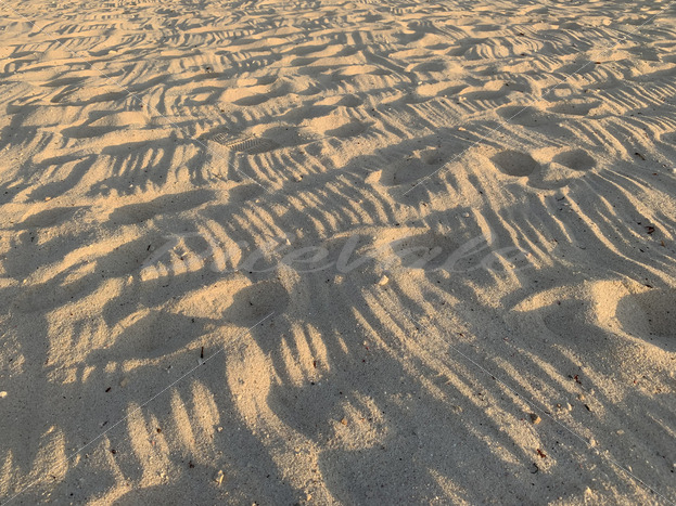 Beach Sand – Riviera Maya – Mexico - DileVale Beach Sand – Riviera Maya – Mexico - DileVale