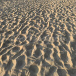 Beach Sand – Riviera Maya – Mexico - DileVale