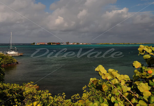 Boat Pier – Aruba - DileVale