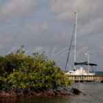 Boat Pier – Aruba - DileVale