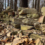Bricks in the Wood - DileVale