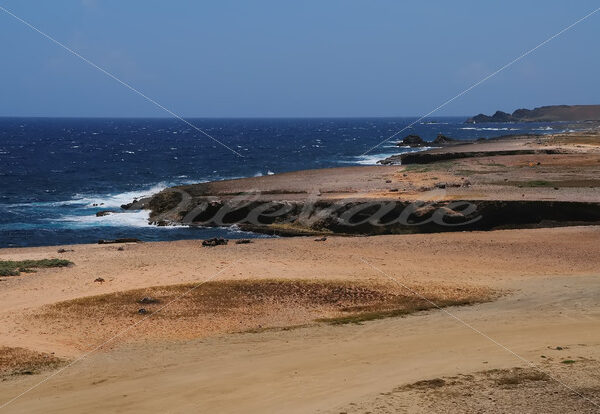 Bushiribana – Aruba - DileVale