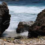 Bushiribana – Aruba - DileVale