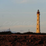 California Lighthouse – Aruba - DileVale
