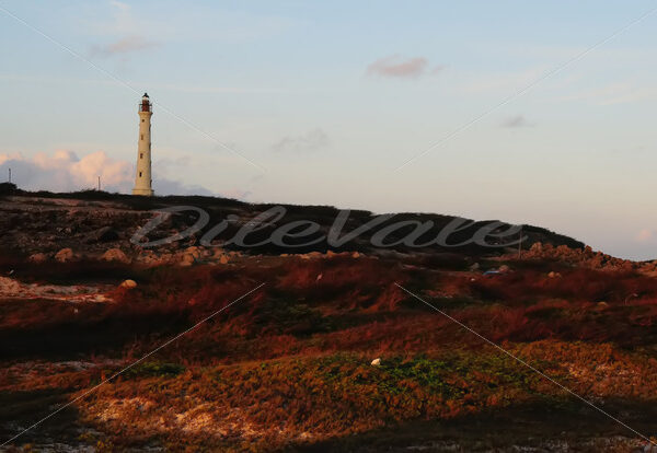 California Lighthouse – Aruba - DileVale