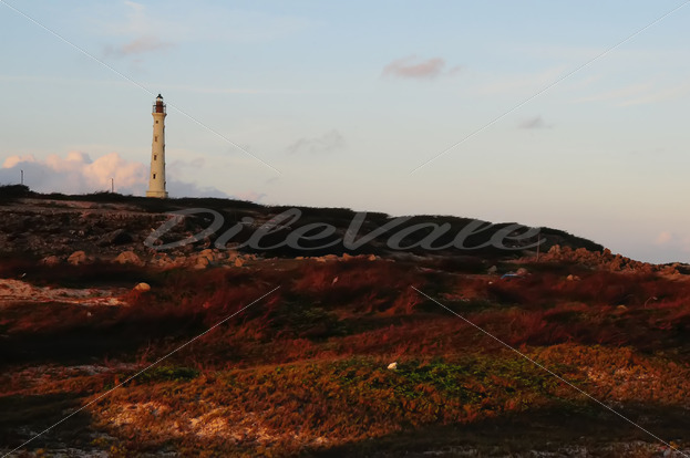 California Lighthouse – Aruba - DileVale California Lighthouse – Aruba - DileVale