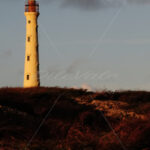 California Lighthouse – Aruba - DileVale
