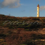 California Lighthouse – Aruba - DileVale
