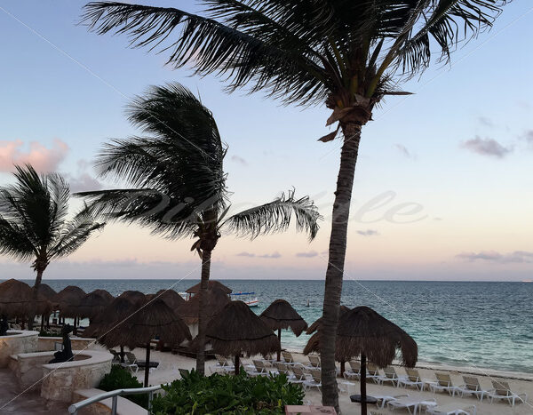 Cancun – Mexico - DileVale