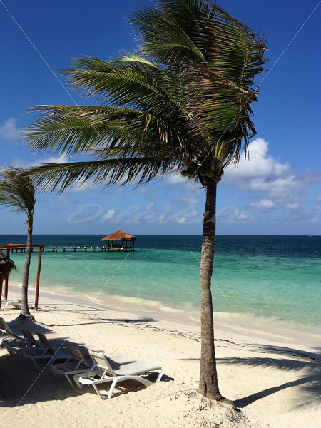 Cancun – Mexico - DileVale