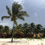 Cancun – Mexico - DileVale