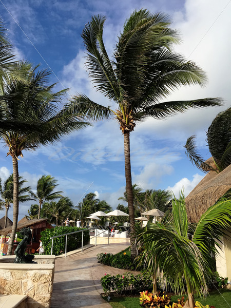 Cancun-Mexico - DileVale