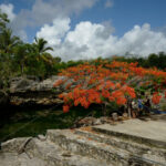 Cenotes – Cancun - DileVale