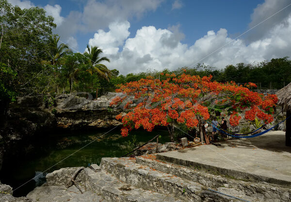 Cenotes – Cancun - DileVale