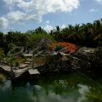 Cenotes – Cancun - DileVale
