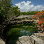 Cenotes – Cancun - DileVale