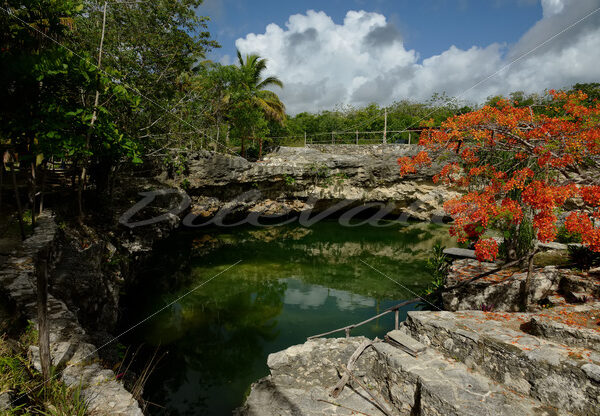 Cenotes – Cancun - DileVale