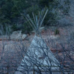 Cliff Dwellings – Colorado - DileVale