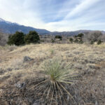 Colorado Springs - DileVale