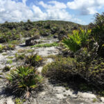 Colorado Springs – Colorado - DileVale