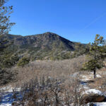 Colorado Springs – Colorado - DileVale