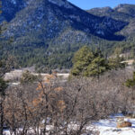 Colorado Springs – Colorado - DileVale