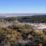 Colorado Springs – Colorado - DileVale