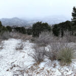 Garden of the Gods – Colorado - DileVale