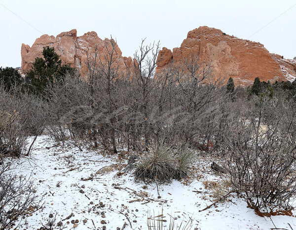 Garden of the Gods – Colorado - DileVale
