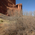 Garden of the Gods – Colorado - DileVale