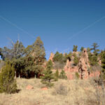 Garden of the Gods – Colorado - DileVale