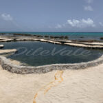 Pool – Riviera Maya – Mexico - DileVale