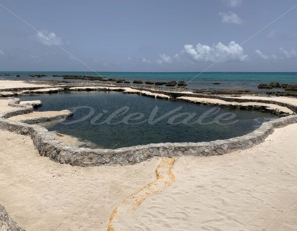 Pool – Riviera Maya – Mexico - DileVale