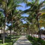 Riviera Maya – Mexico - DileVale