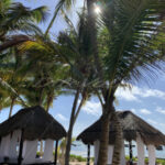 Riviera Maya – Mexico - DileVale