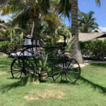 Riviera Maya – Mexico - DileVale