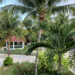 Riviera Maya – Mexico - DileVale