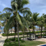 Riviera Maya – Mexico - DileVale