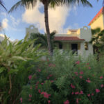 Riviera Maya – Mexico - DileVale