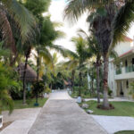 Riviera Maya – Mexico - DileVale