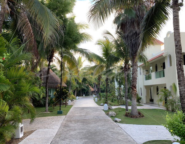 Riviera Maya – Mexico - DileVale